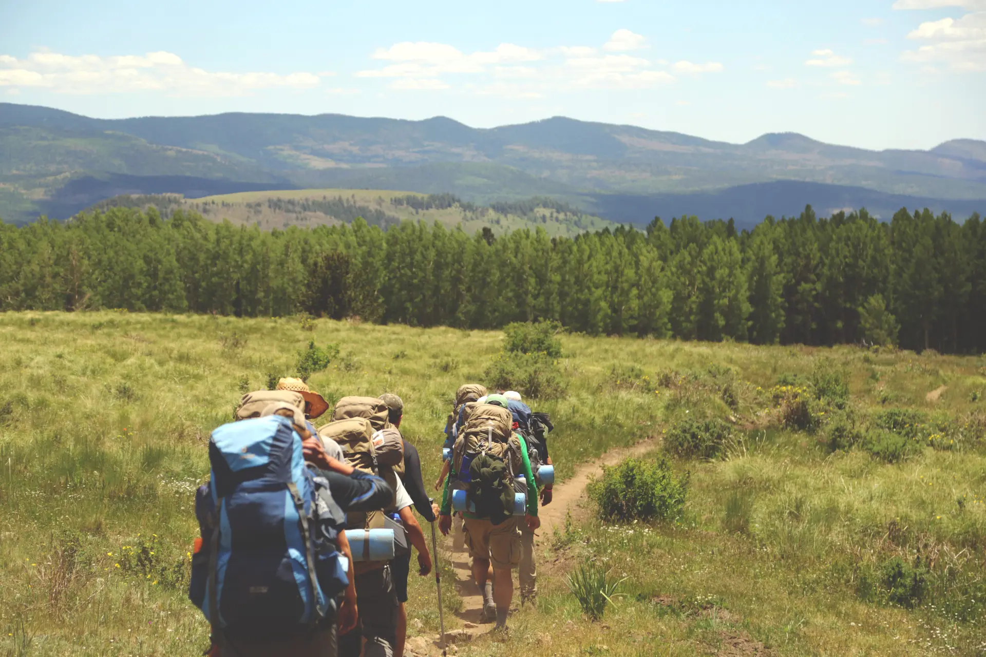 Professional mountain guides in the highlands