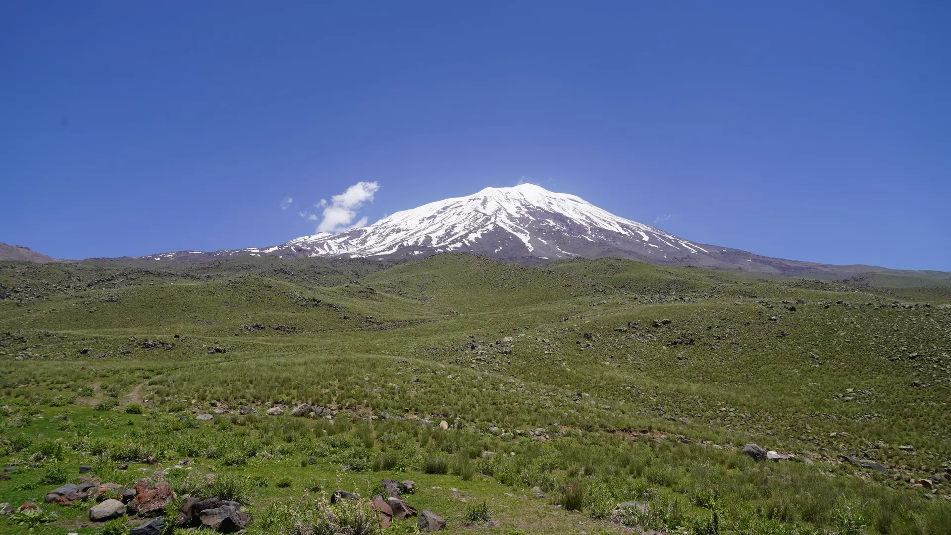Vue sur l’Ararat