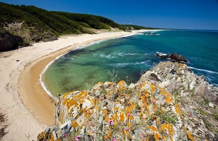 Côte, monts Kaçkar