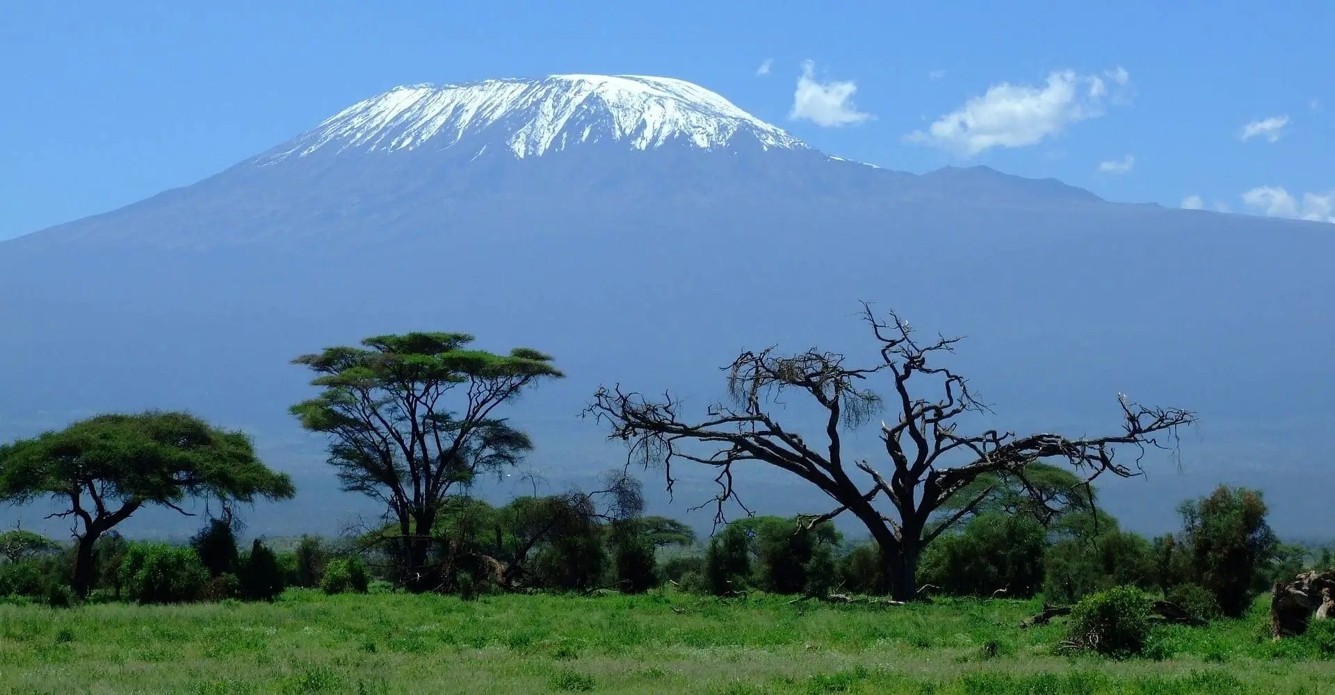 Vue sur le Kilimandjaro