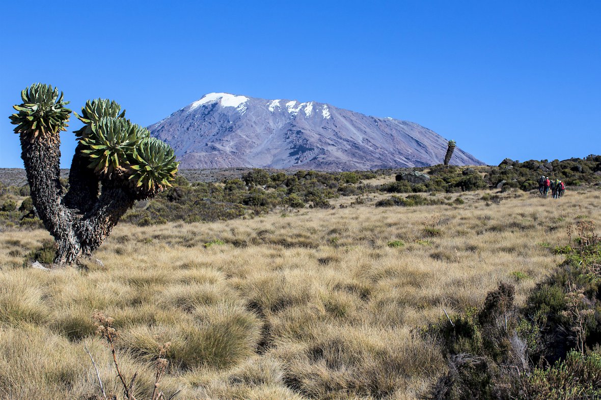 A glacier wall near the Mount Kilimanjaro summit