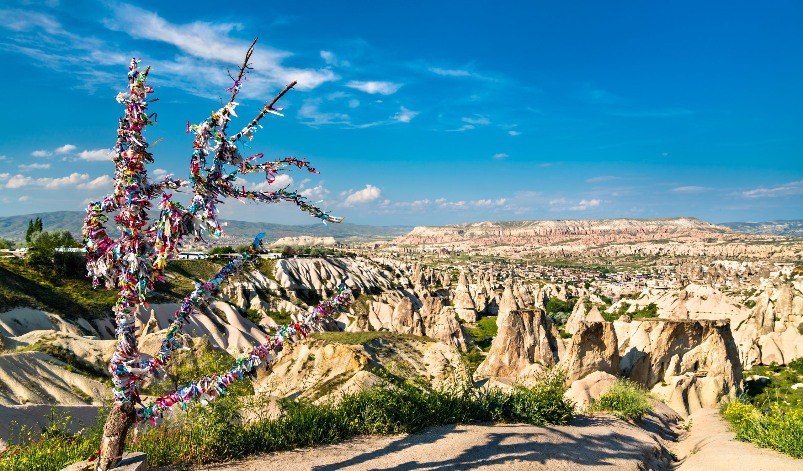A wishing tree overlooking Cappadocia fairy chimneys