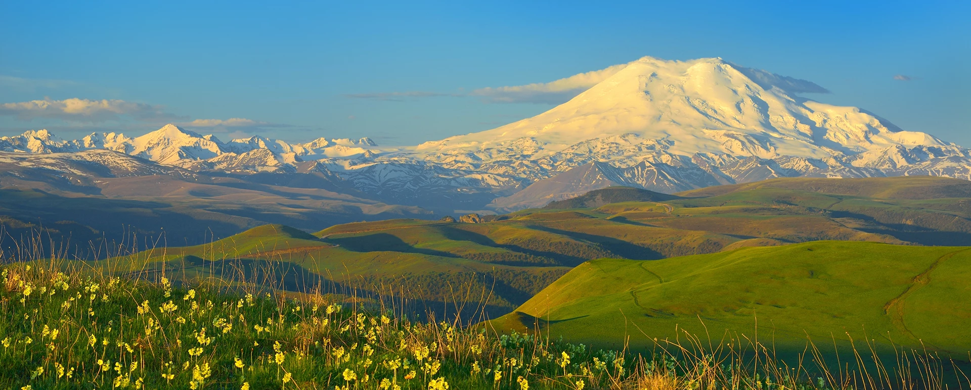 Mount Elbrus above green foothills and wildflowers